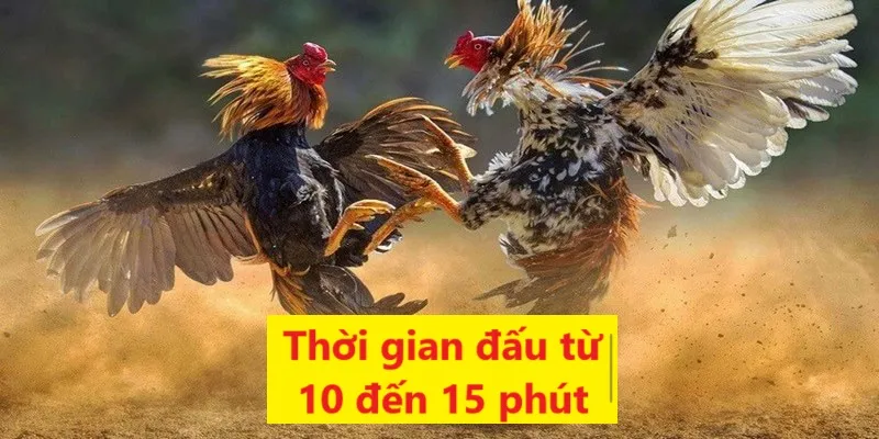 Mỗi trận đấu sẽ có thời gian quy định cụ thể