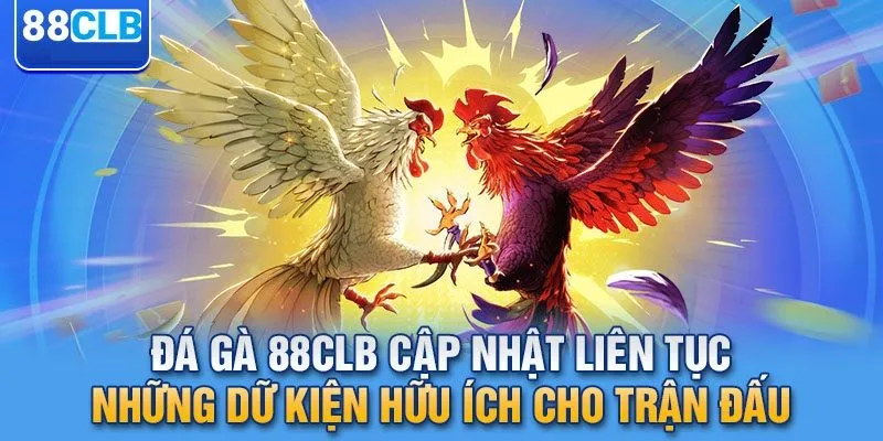 Chất lượng đá gà 88CLB