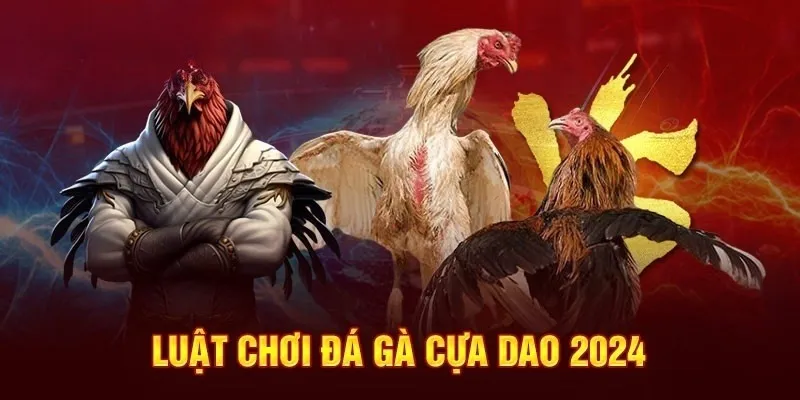 Đá gà cựa dao hấp dẫn đối với các tân thủ