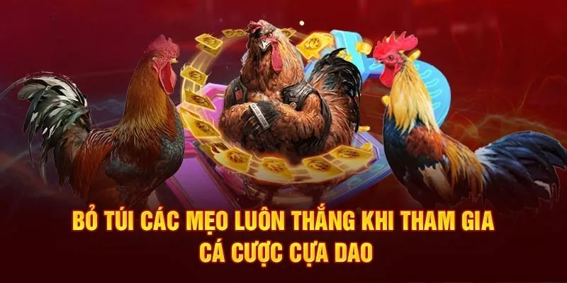 Áp dụng thêm kinh nghiệm để mang về chiến thắng