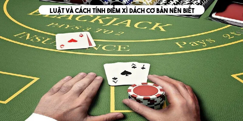 Tổng hợp quy tắc cần nhớ khi chơi Blackjack